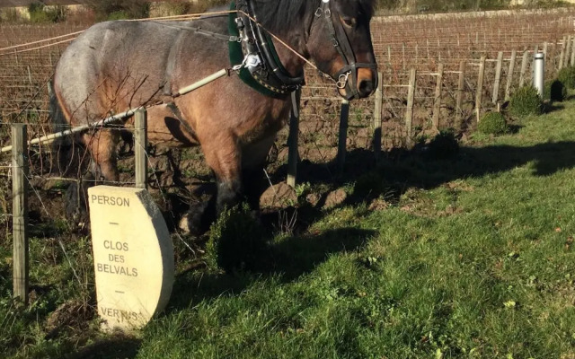 Domaine Le Clos des Belvals
