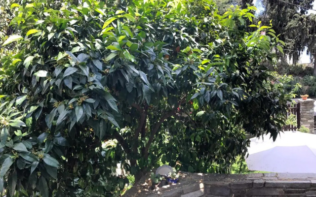 Mountain Breeze Sanctuary