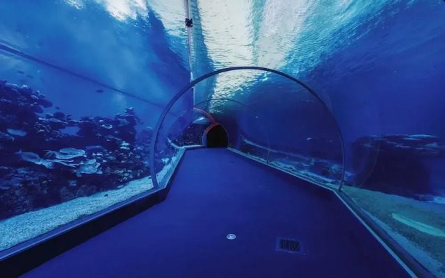 Royal Park Resort Apartment 58