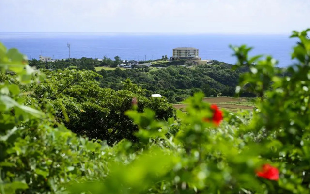 Yakushima Iwasaki Hotel