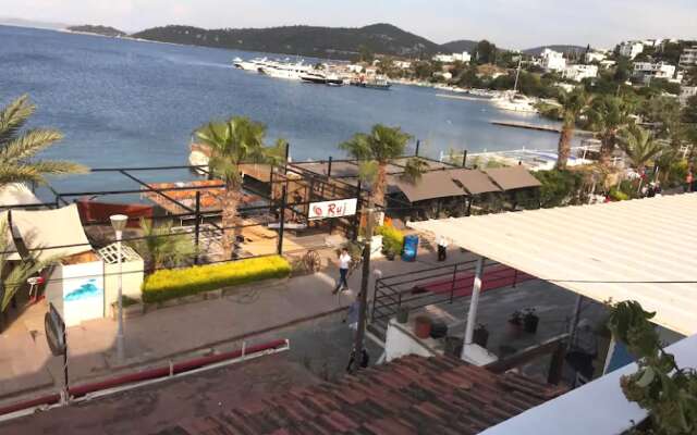 Apartment 2 Bedrooms in Turkbuku 2