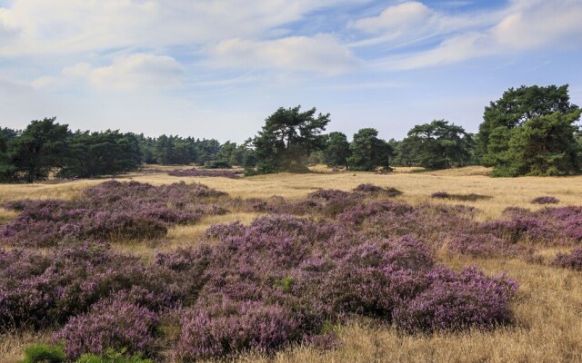 Well Furnished Tent Lodge with Terrace near Veluwe