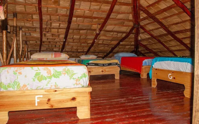 Hostel La Ballena Backpacker