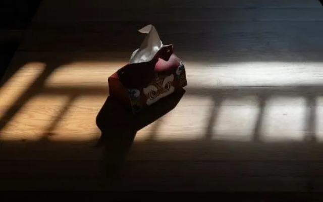 WanfengLin shanshu Homestay