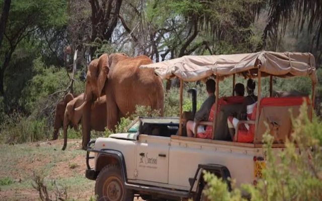 Saruni Samburu