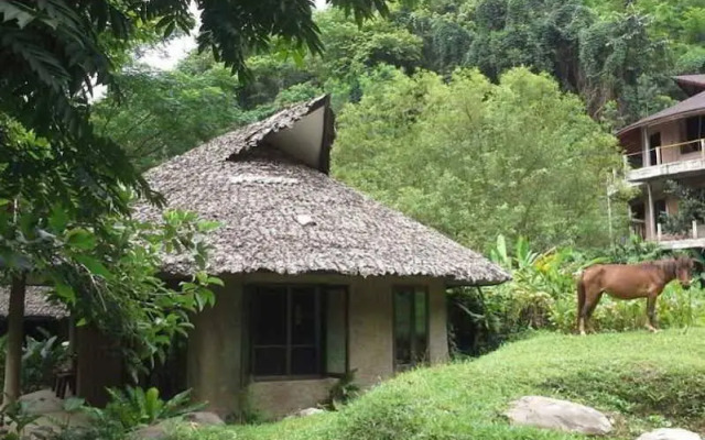 The Natural Healing Spa Retreat