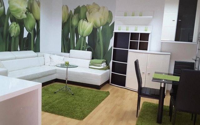 DELUX duplex apartment