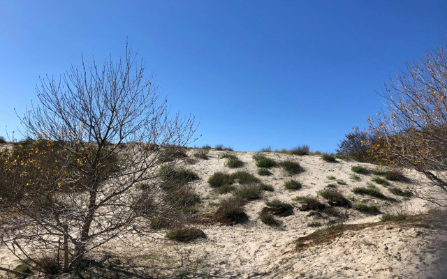 Appartement Westende - Ariane 001