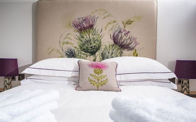 Thistles on Skye