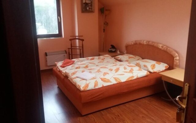 Penzion U strhaného klempíře