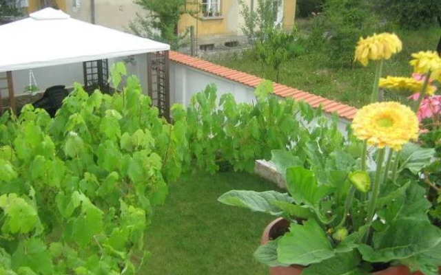 Velingrad Guest House