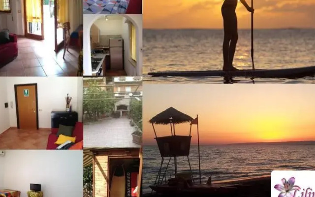 Lilium Surf House