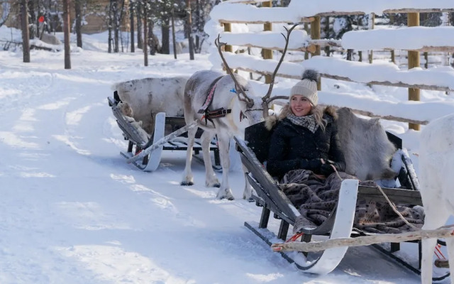 Northern Lights Village Levi