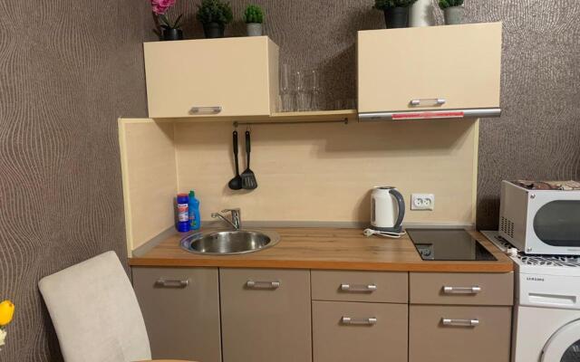 Апартаменты на улице 50 лет ВЛКСМ 13 корпус 3