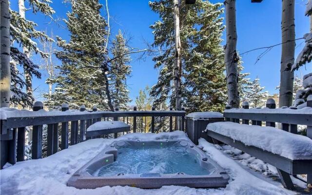 Black Bear Lodge - 5 Bedrooms Home