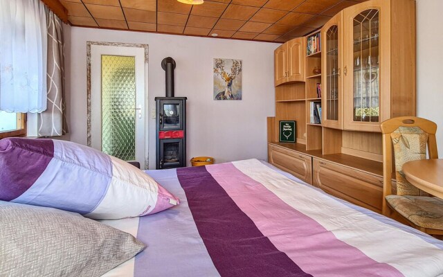 Amazing Home in Adorf/ot Leubetha With 1 Bedrooms