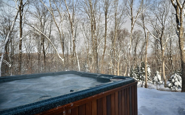 Grande Forêt by Tremblant Platinum