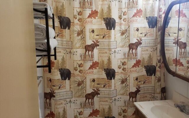 lazy bear cabins