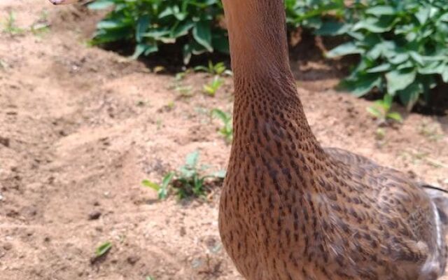 The Most Beautiful Bay