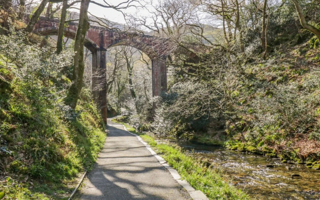 Dolgoch