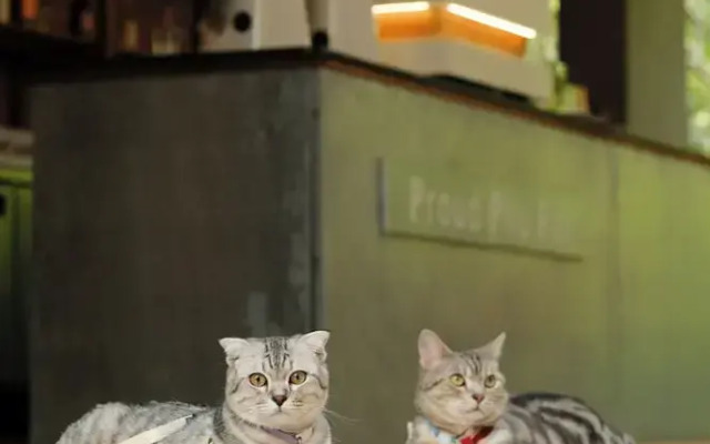 Proud Phu Fah Muang Chiang Mai