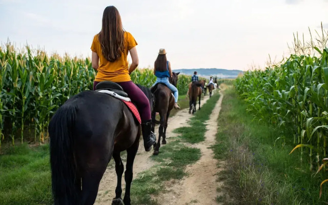 Casa Dives, Transylvania