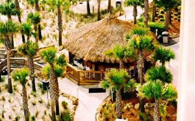 Calypso 1401e 150821