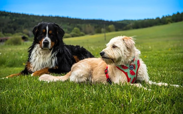 Agroturystyka Malowane Wierchy