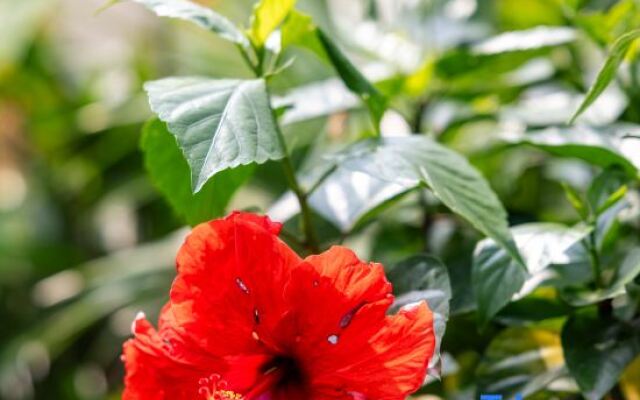 Scenic Mountain Ecolodge Ninh Binh