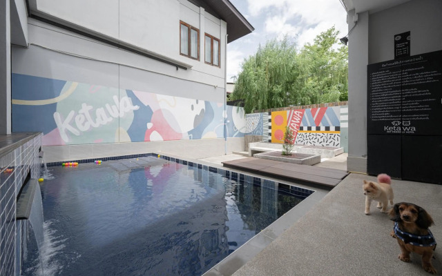 Ketawa Pet Friendly Hotel