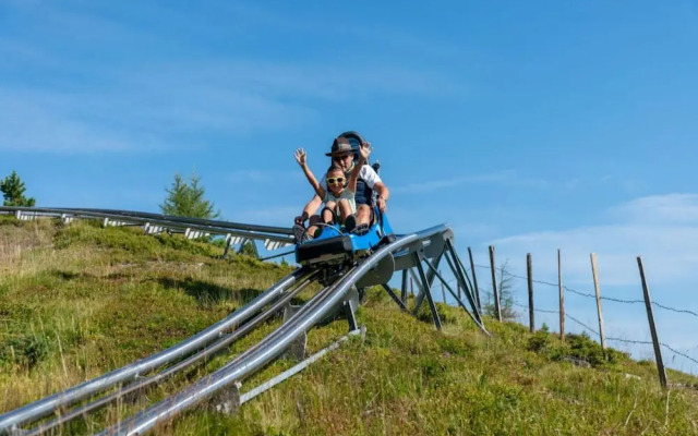 Apartment in Alps Near Ski Slopes