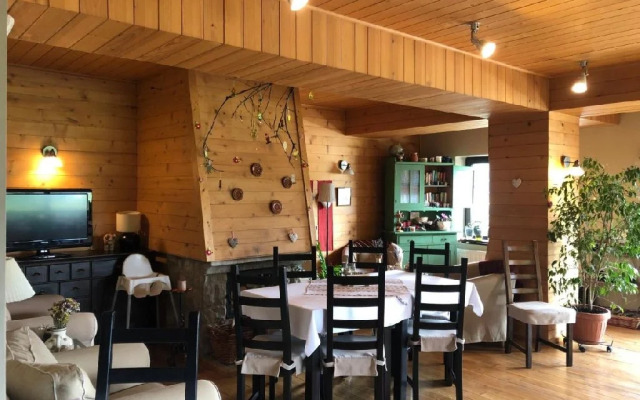 Bucovina Lodge Pension