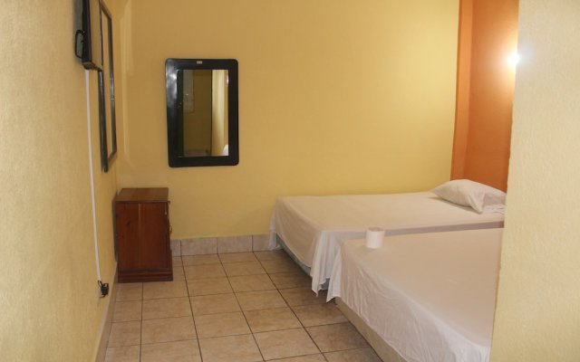 Hotel Green Monkey - Hostel