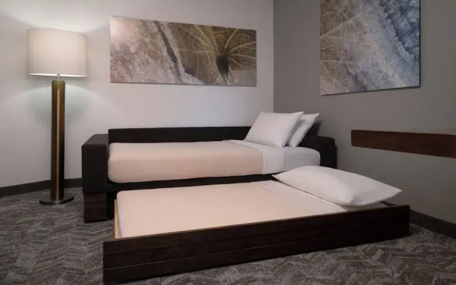 Springhill Suites By Marriott Fargo