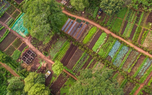 Gibb's Farm