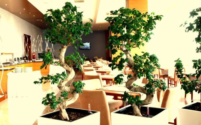 Orucoglu Oreko Hotel