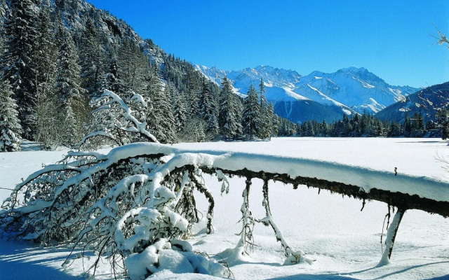Unique Holiday Home in Heremence in the ski Area