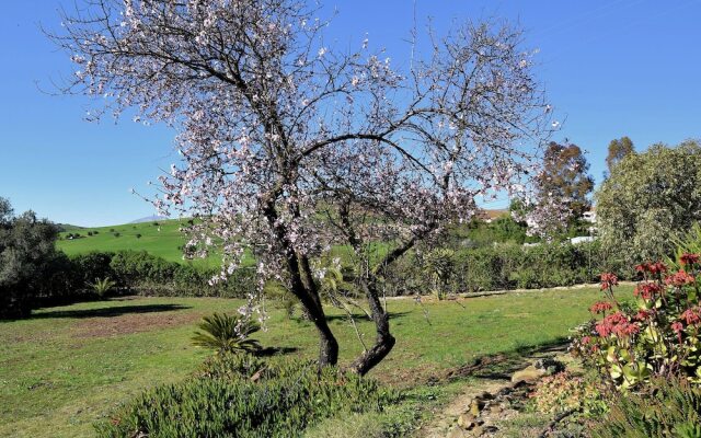 Lovely Holiday Home With Private Swimming Pool in Almogía