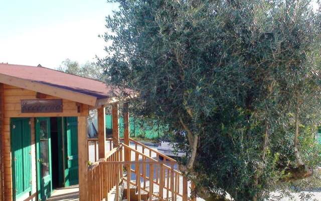 Villa With 4 Bedrooms in Vilar da Mo, Belver, With Wonderful Mountain