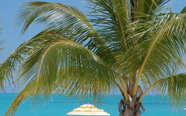 Treasure Cay Beach, Marina & Golf Resort