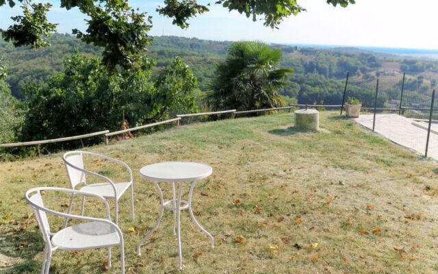 Roque Piquet (HDC401)