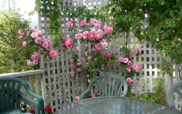 Mountainview Bed & Breakfast