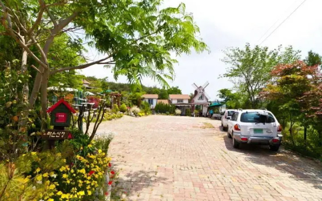 Forest pension