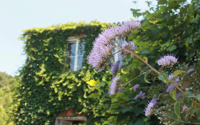 Quinta Das Murtas B&B