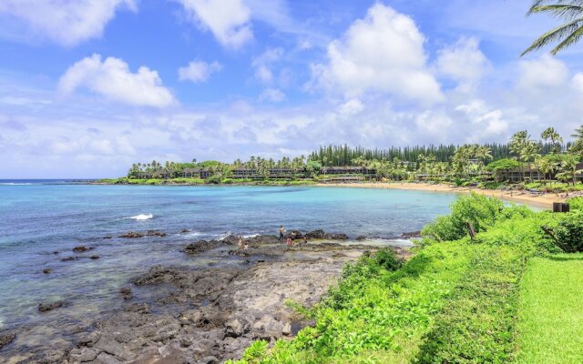 Napili Shores D229 Studio Bedroom Condo by RedAwning