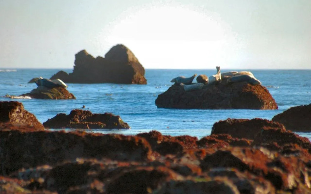 Hampton Inn & Suites Crescent City