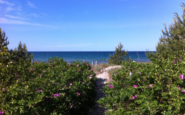 Hof Uhleck am Königsstuhl