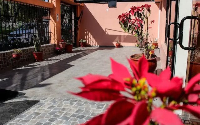 Hotel Andino Selva Alegre