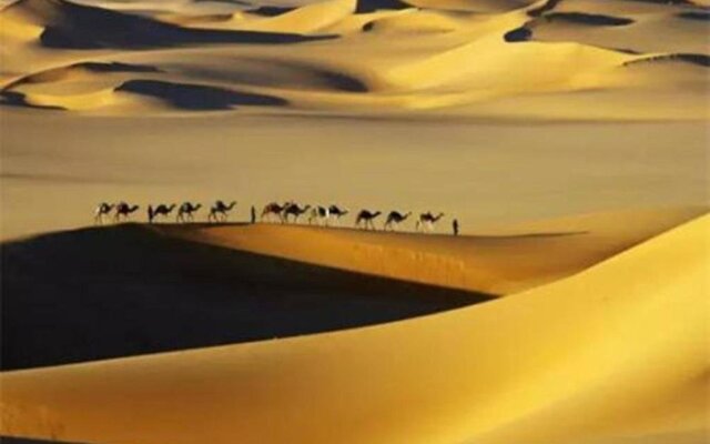 Datang Purple Camel Hostel Dunhuang
