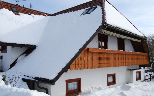 Serene Apartment In Rickenbach Near Ski Lift